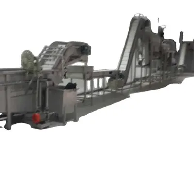 Frozen Fruit Processing Line Frozen Fruit Processing Line Machinery Fruit Washing Machinery